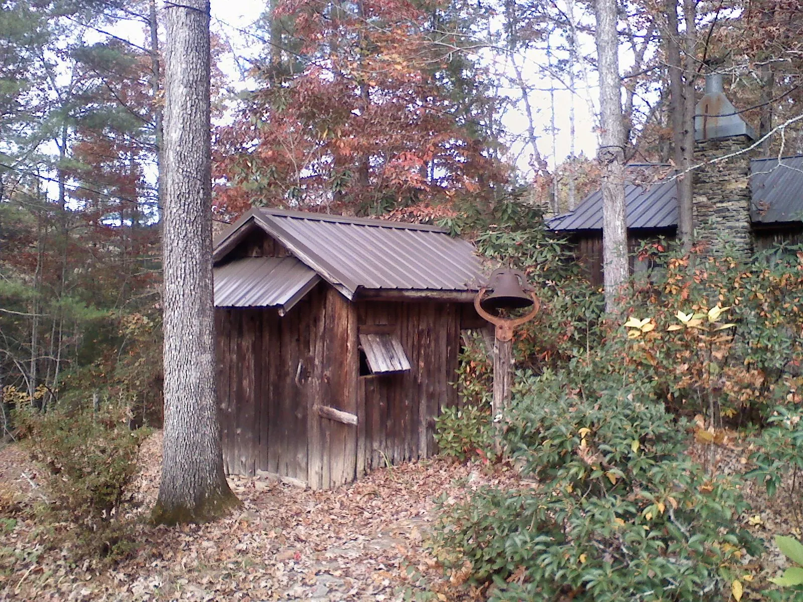Small metal roof on a rough sawn shed in the woods in Elliott